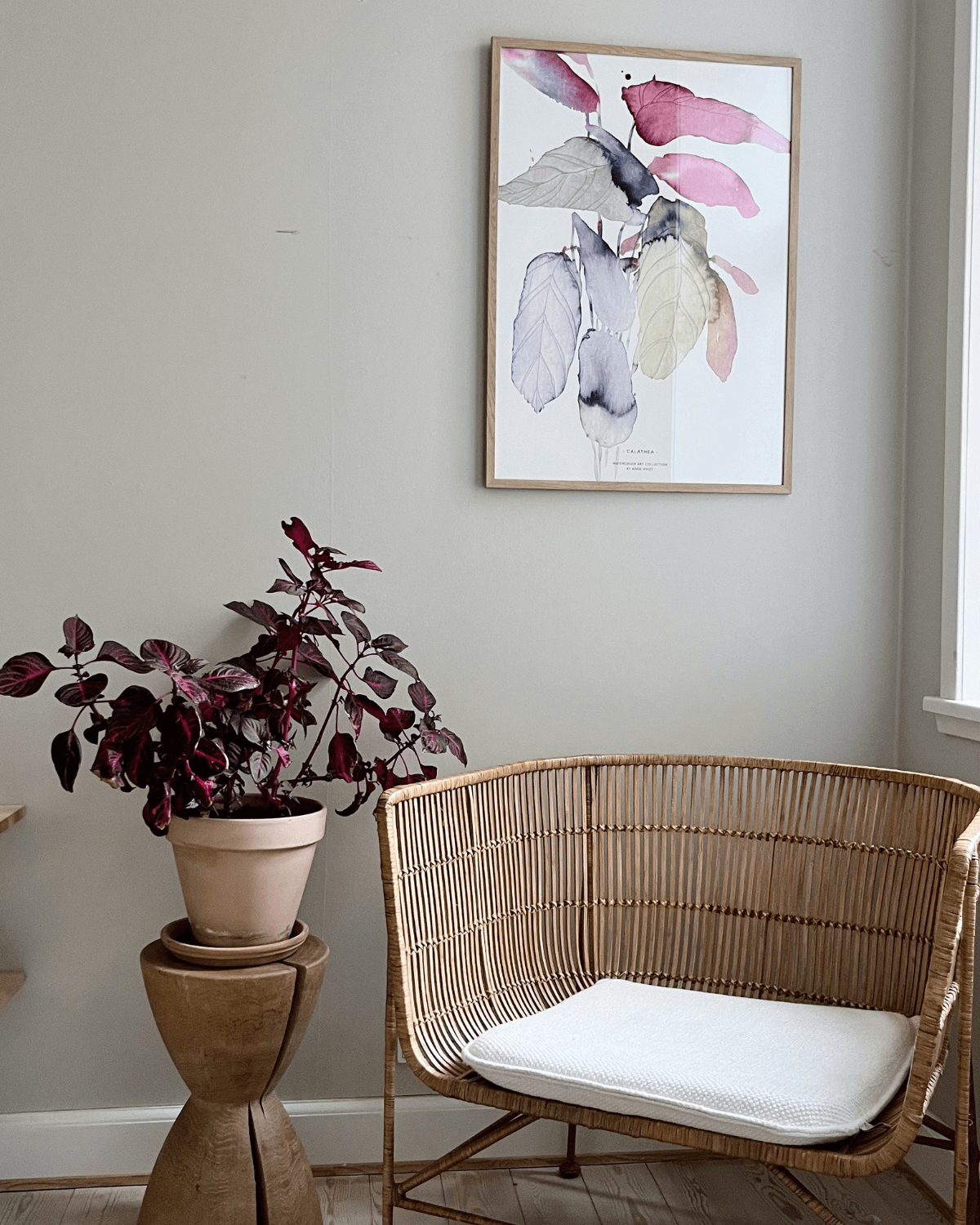 Kunsttryk, Calathea, Blomster, Anne Hvidt