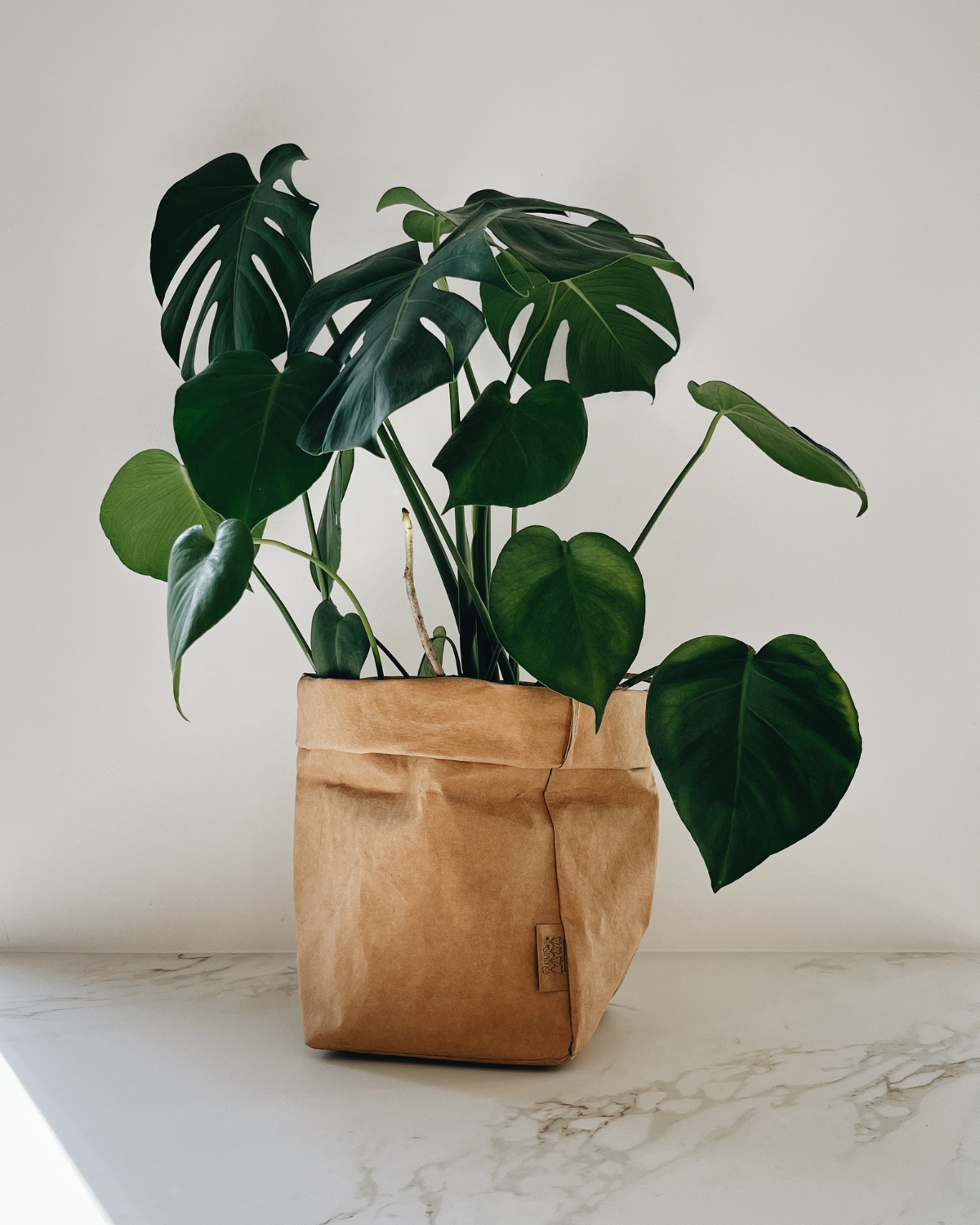 Paper Bag, Large Plus - Natur